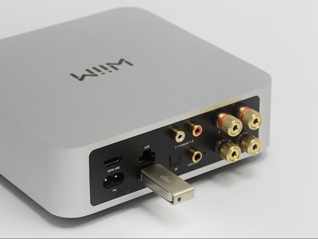 wiim amp pro